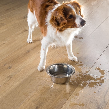 Ruitenga Parket-laminaat-vloer